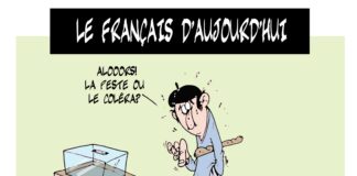 Elections françaises Ahmed Medjani