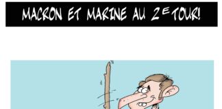 Elections françaises Medjani