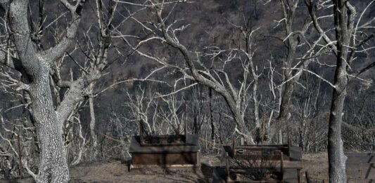 Incendies de Kabylie