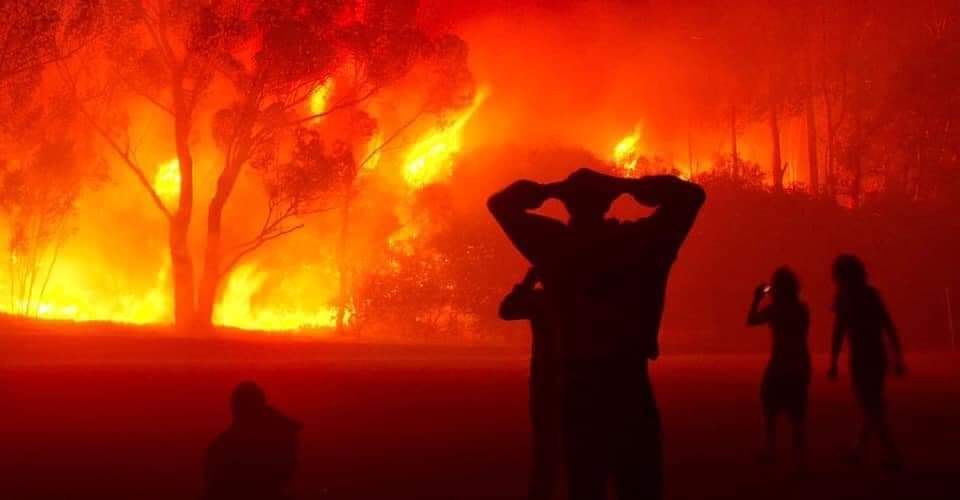 Incendies en Kabylie