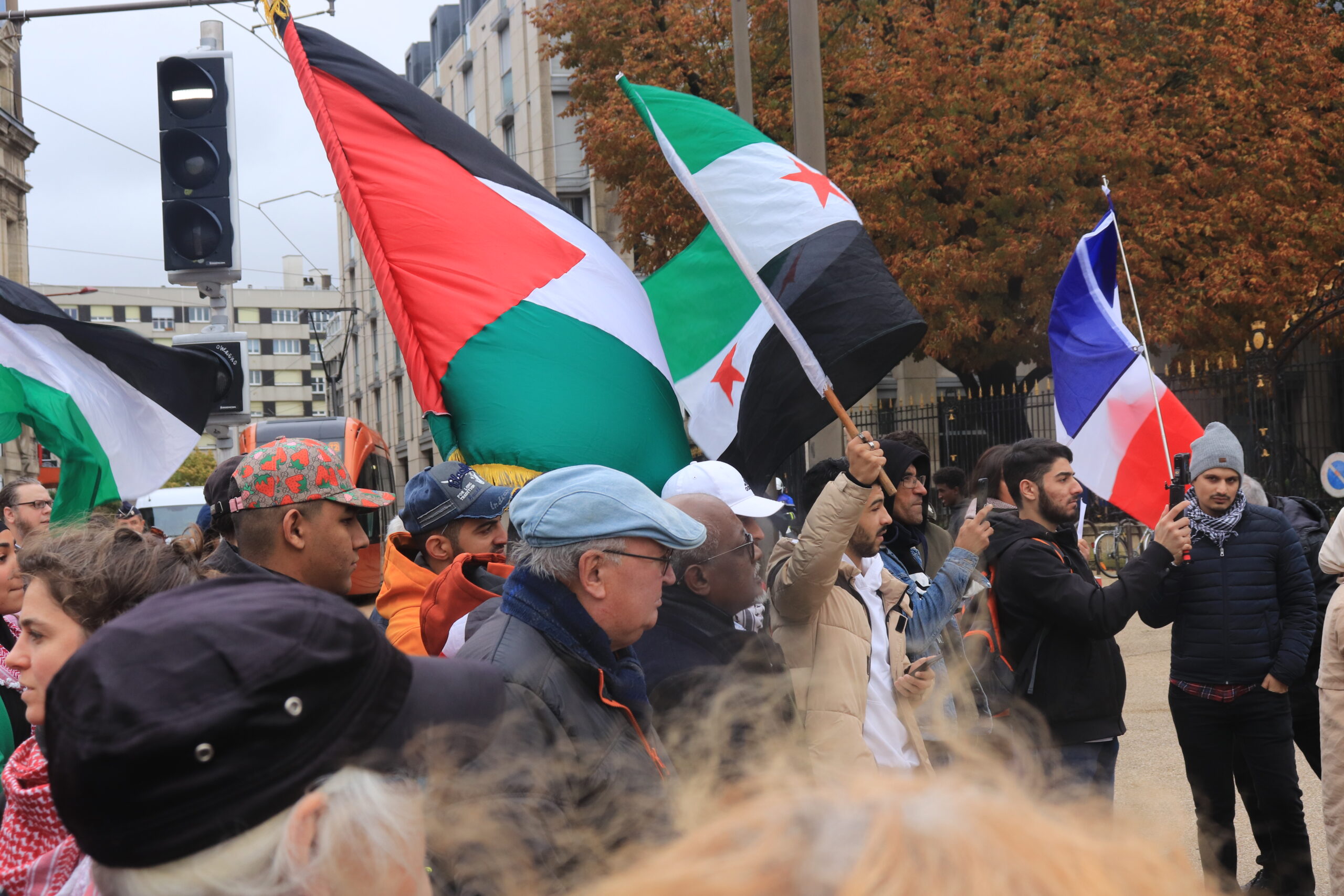 Rassemblement pro-palestinien