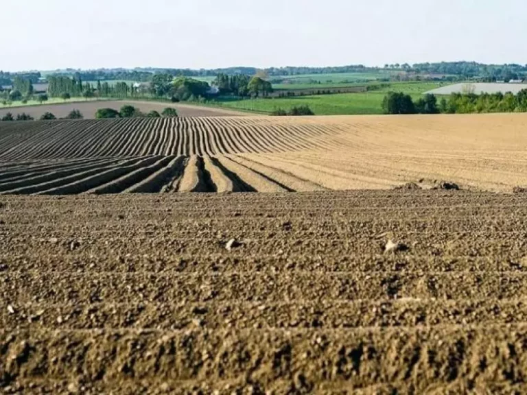 Lancement d&rsquo;une plateforme numérique pour les demandes de foncier agricole