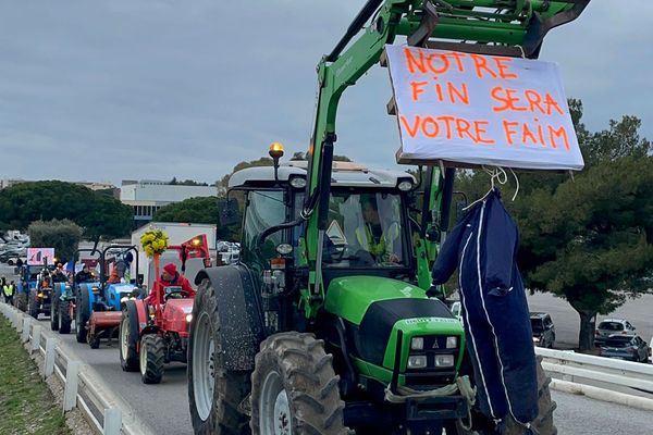 Grève des agriculteurs