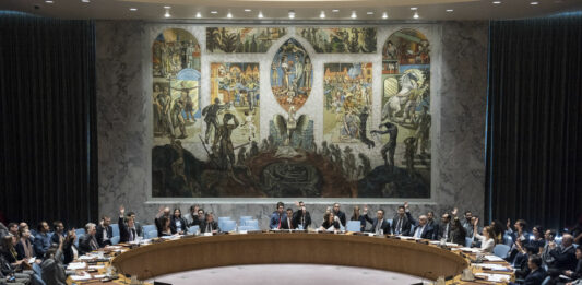 Conseil de sécurité de l'Onu.
