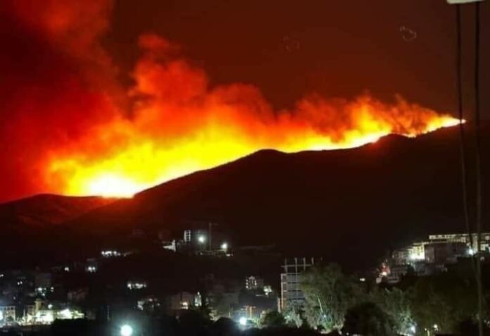 Incendies en Kabylie