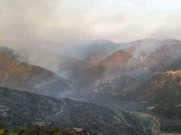 Incendies Kabylie