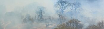 Incendies en Kabylie