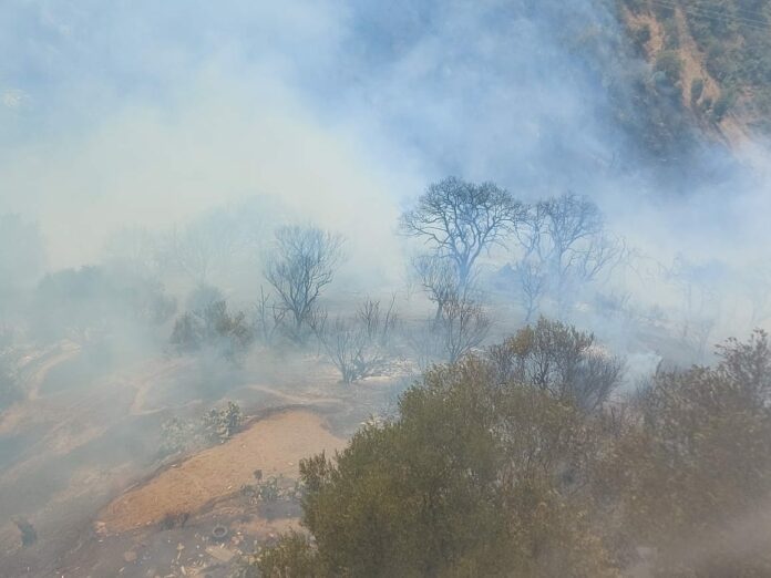 Incendies en Kabylie