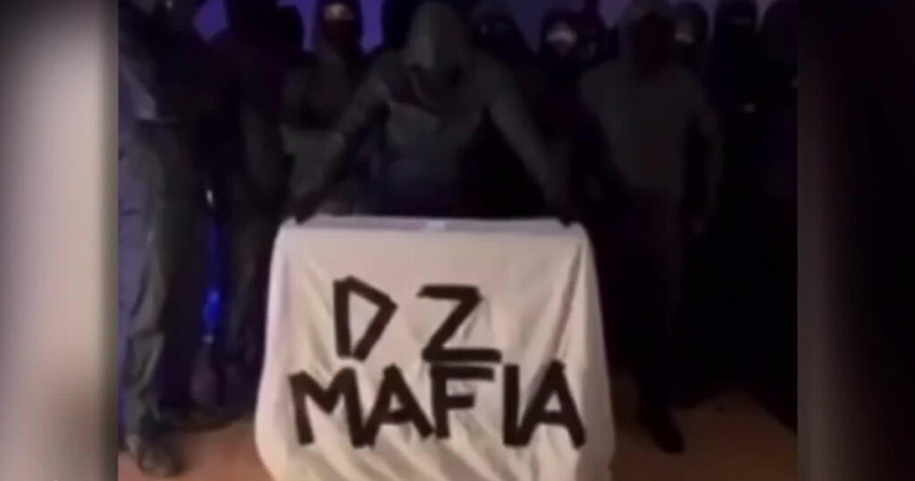 Dz Mafia