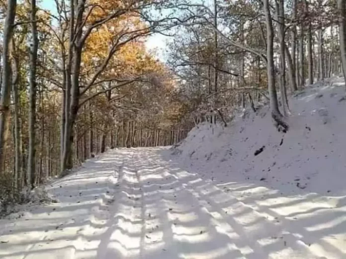 La neige abondante