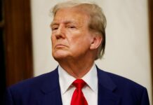 Le dictionnaire de Donald Trump ! Trump