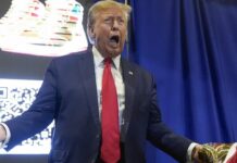 Donald Trump revendique des frappes américaines contre l’État islamique au Nigeria Trump