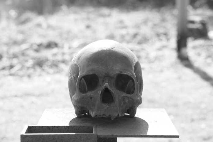 skull-2284177_1280 Crâne