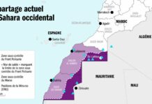 Sahara occidental : le Conseil de sécurité de l’ONU apporte son soutien au plan marocain Sahara occidental