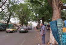 Mali menacé par les djihadistes : rester ou partir, le dilemme des expatriés Bamako