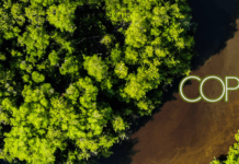 Les trucs des climatoseptiques dévoilés COP 30