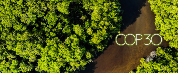 COP 30 Mission possible COP 30