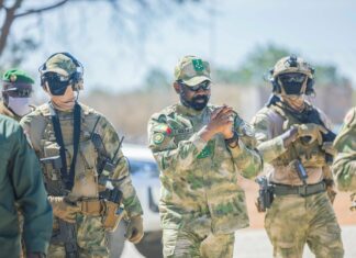 Mali : rançon en échange d’otages et poursuite du blocus, comment le Jnim resserre l’étau sur Bamako