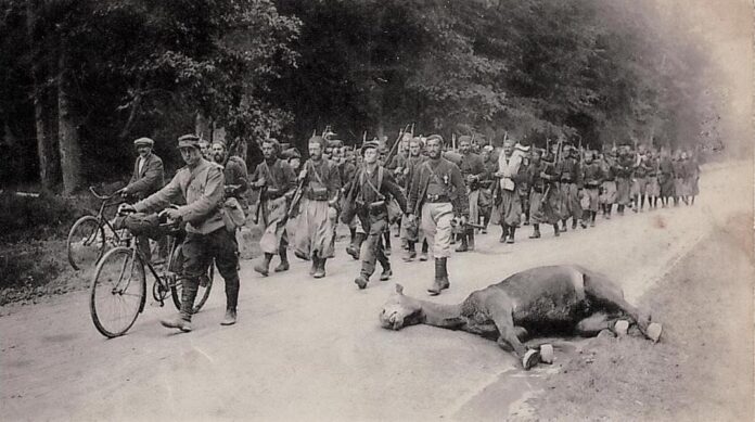 Soldats kabyles de la Première Guerre mondiale.