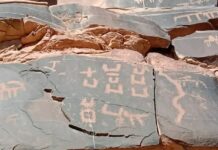 Tamazight langue officielle, dites-vous ? Tamazight