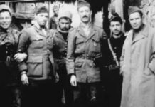 Algérie : la Toussaint de la désillusion Amirouche en wilaya I