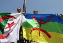 La démocratie, c’est la solution… Drapeaux amazigh et algérien