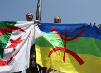La démocratie, c’est la solution… Drapeaux amazigh et algérien