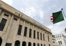 Hichem Sifer et la déchéance du cerveau APN