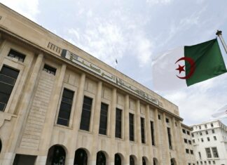 Hichem Sifer et la déchéance du cerveau APN