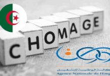 L’allocation chômage portée à 18 000 DA en Algérie Chômage en Algérie