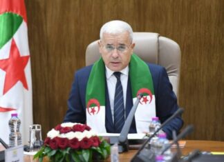 Criminalisation du colonialisme français : la surenchère mémorielle des députés Boughali.