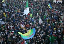 La démocratie et le respect de la diversité pour sauvegarder l’Algérie Manifestation du Hirak