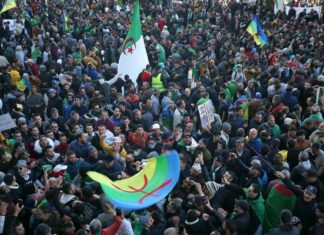 La démocratie et le respect de la diversité pour sauvegarder l’Algérie Manifestation du Hirak