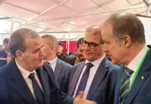 Tamanrasset, capitale industrielle… sur le papier Rezig