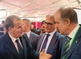 Tamanrasset, capitale industrielle… sur le papier Rezig