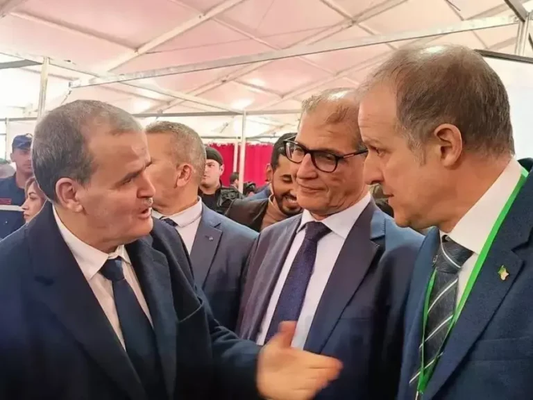 Tamanrasset, capitale industrielle… sur le papier