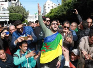 Statut du tamazight en Algérie : enjeux identitaires et limites du modèle centralisateur Hirak tamazight