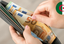 100 000 cas de fraude à la dotation voyage en devises : l’État durcit les contrôles Allocation tourisme