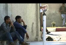 Chômage en Algérie : quand le discours officiel verse dans le « mentir vrai » Jeunes chômeurs.