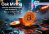Gagnez jusqu’à 5 777 $ par jour avec Oak Mining : Lancez-vous dans l’aventure crypto dès aujourd’hui !