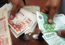 Marché parallèle : l’euro frôle les 290 dinars Le marché parallèle