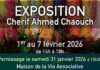 Vitry-sur-Seine : Cherif Ahmed Chaouch expose « Enfants de Palestine tout en couleurs » Exposition d'Ahmed Chaouch à Vitry sur Seine