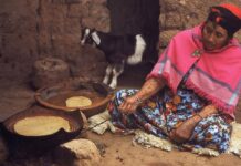 Yennayer dans les Aurès : des traditions qui résistent au temps Femme chaouia