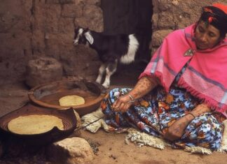 Yennayer dans les Aurès : des traditions qui résistent au temps Femme chaouia