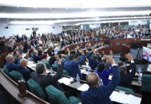 Parlement sans honneur APN