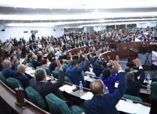 Parlement sans honneur APN