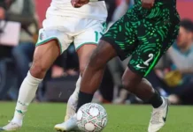 Défaite des Verts face au Nigeria : les réactions de joueurs Algérie Nigeria