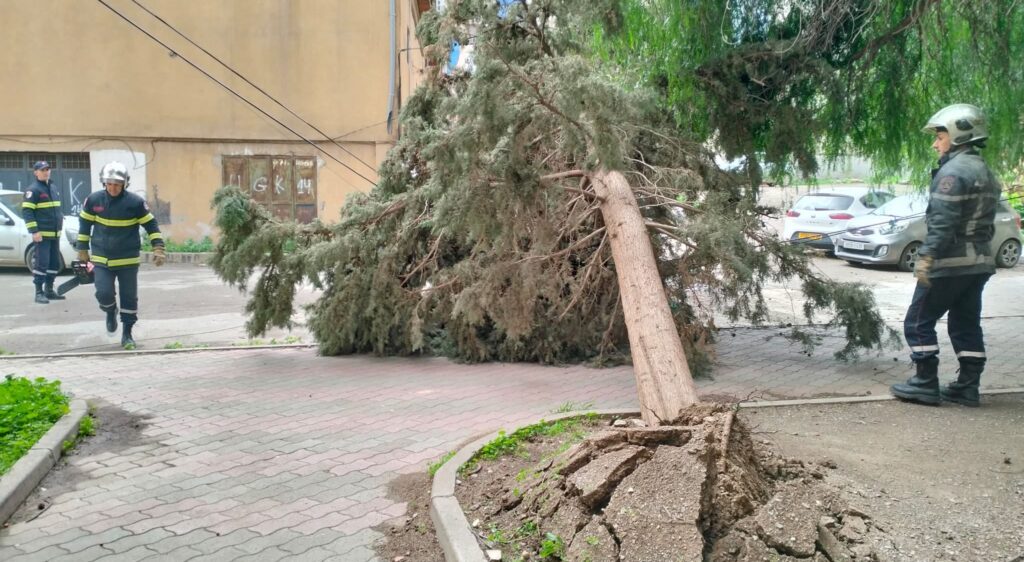 Dégât des intempéries en Algérie