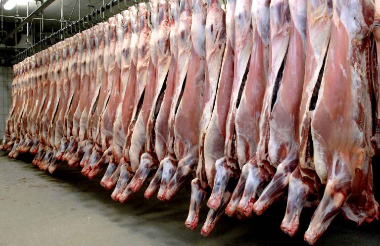 Importations de bétail : l’État parie sur l’abondance pour stabiliser le marché